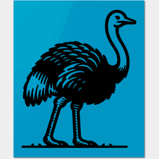 Ostrich Posters and Art